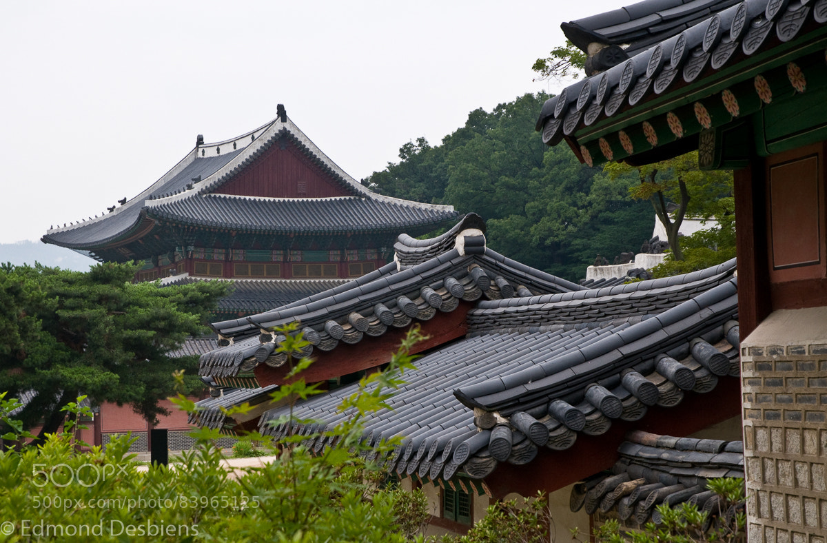 Nikon D300 sample photo. Roofs photography