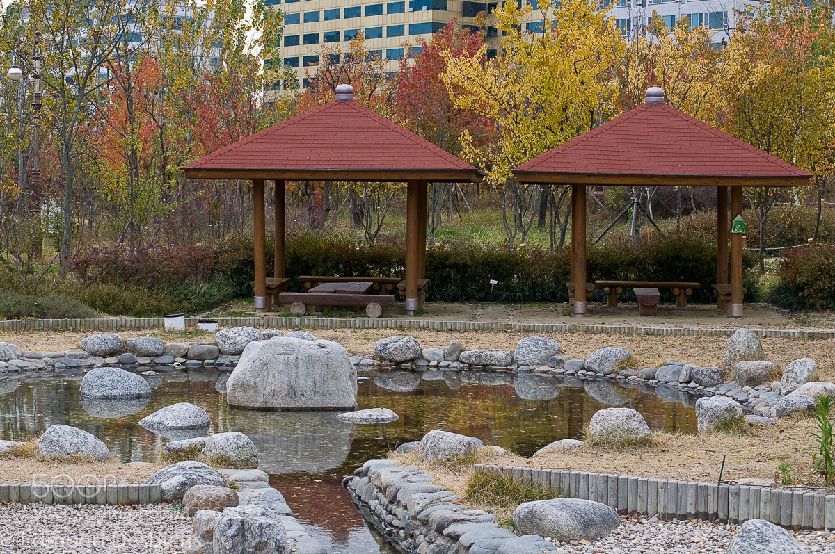Nikon D300 sample photo. Gazebos and pond photography