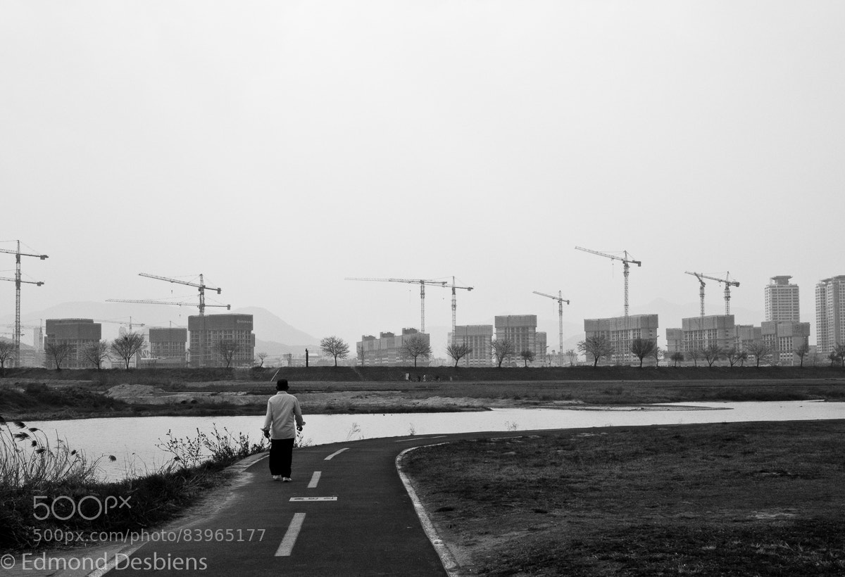 Nikon D300 sample photo. Out for a walk photography
