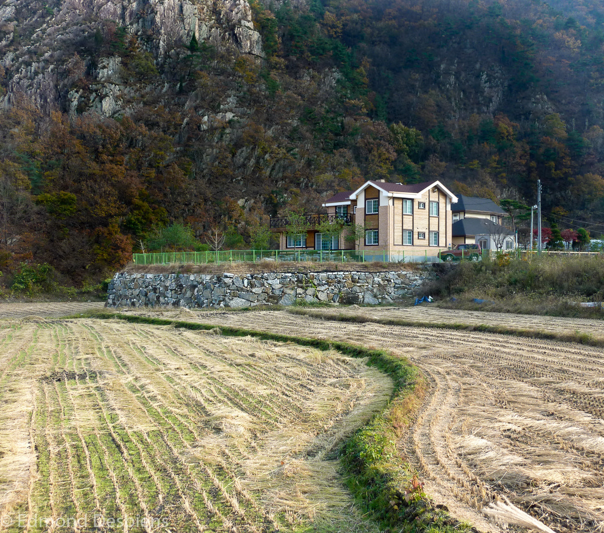 Panasonic DMC-ZS3 sample photo. Country house and rice fields photography