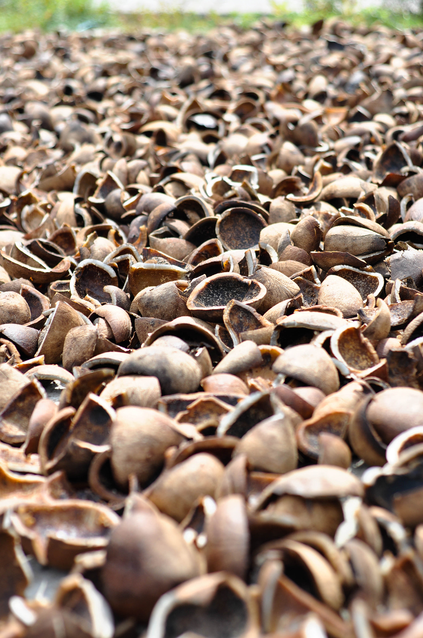 v2?sig=b485b58a97ba3f46c6aa556b6981370fa81f343de7deaf1f35cf394d5b67652f