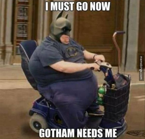 Funny Pictures and Photo
