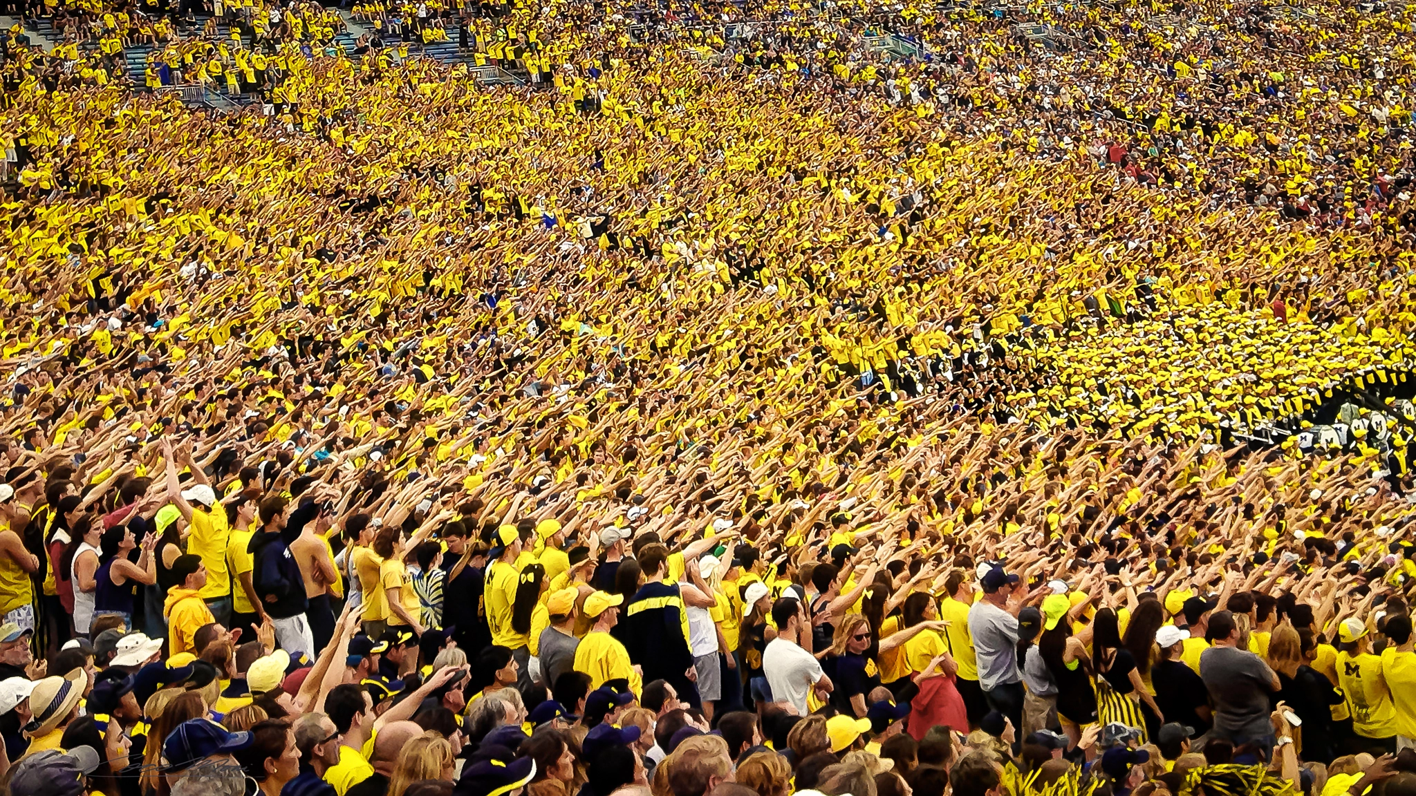 Michigan yellow madness