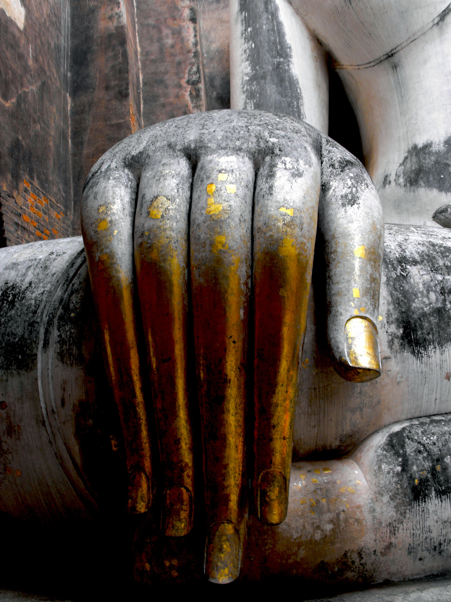 Hand of Compassion