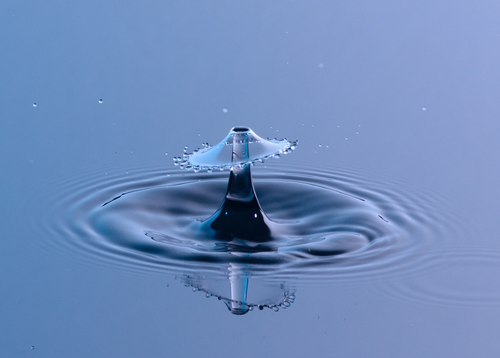 Blue Parasol