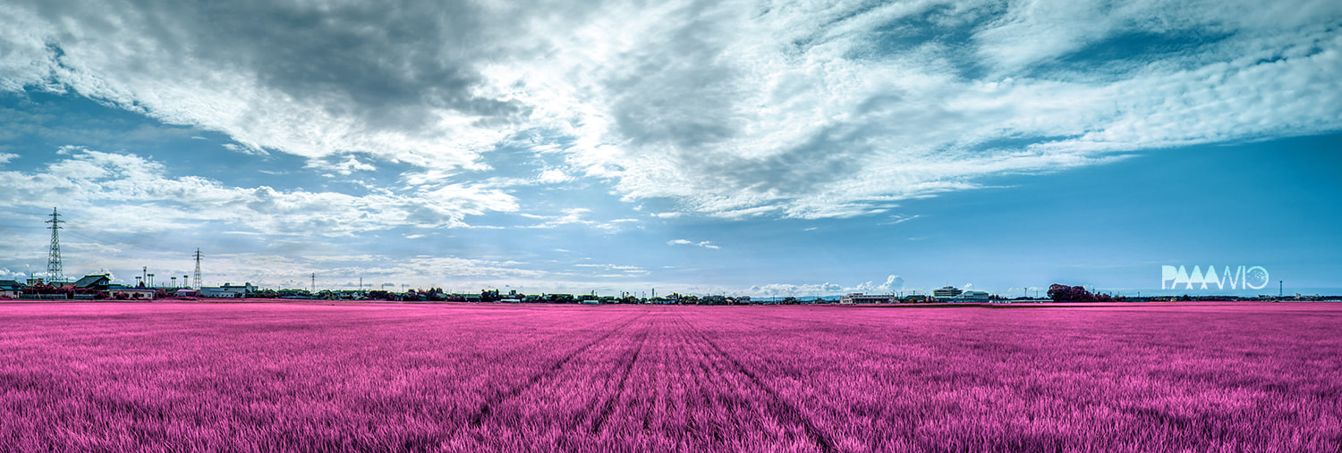 Magenta Earth and Cyan Sky