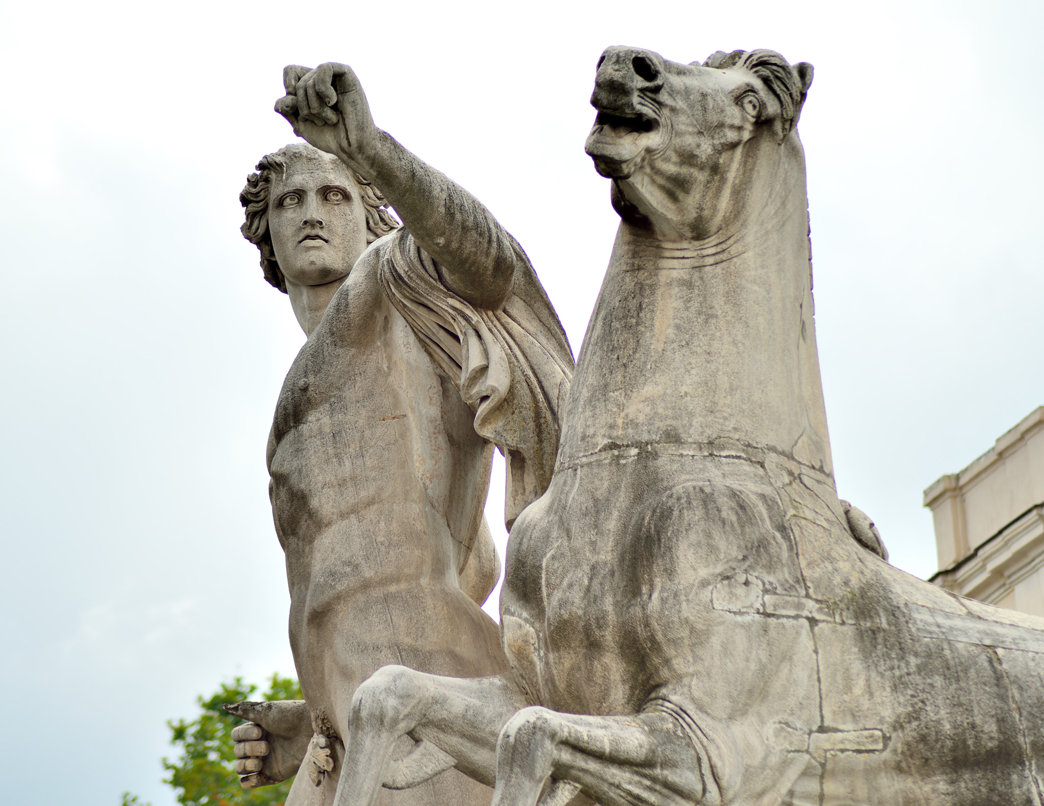 The Horse Tamers on the Quirinal Hill (detail).