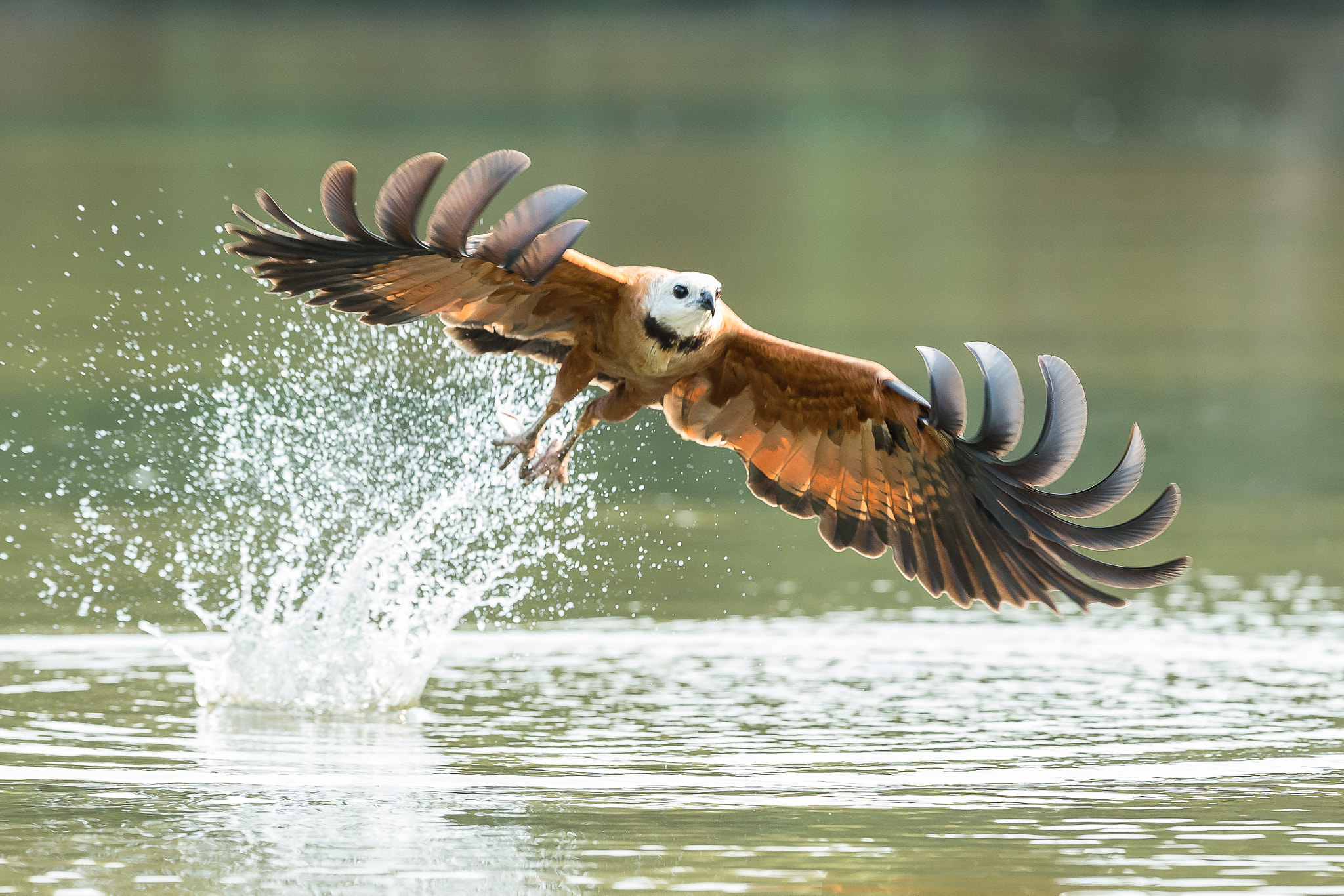 v2?sig=ac2889c44bcc857883d09668664210386bd4609bc061596ab69e2fbbbb29e6ac