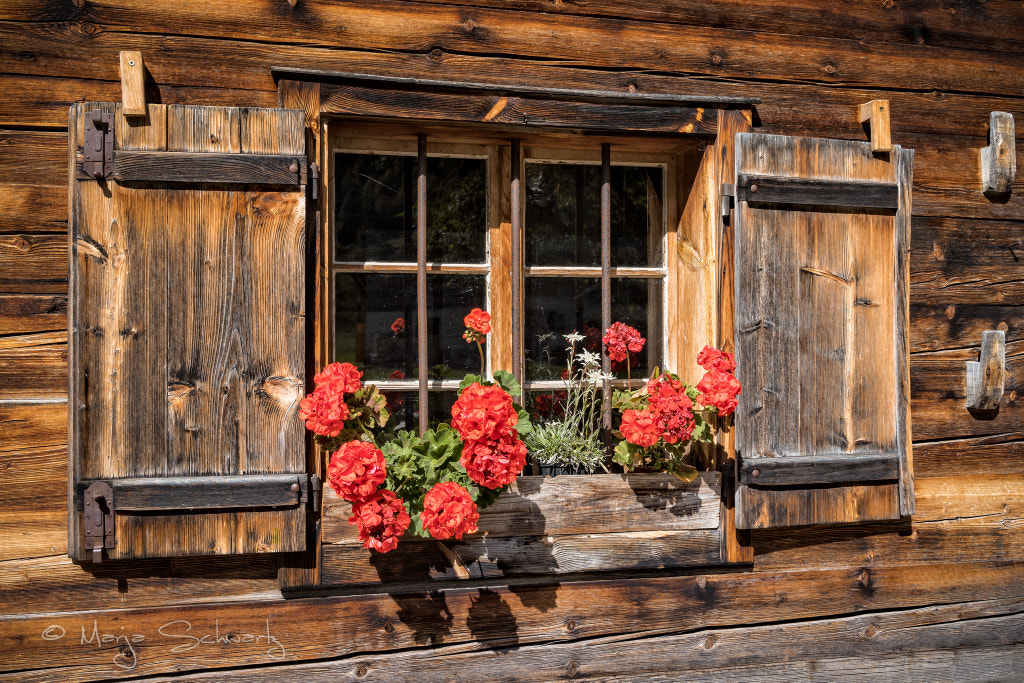 Tyrolean Window Style