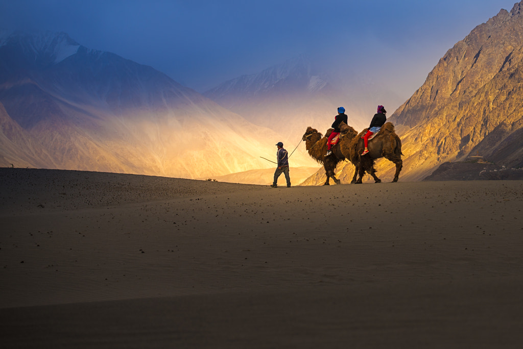 Camel by Panom Bounak on 500px.com