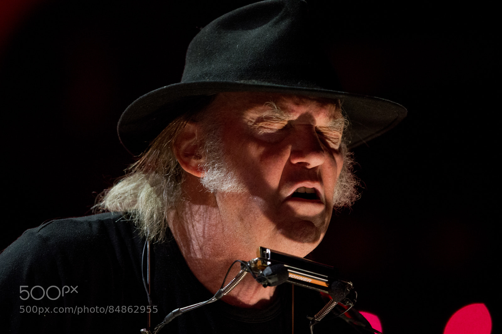 Canon EOS-1D X sample photo. Neil young photography