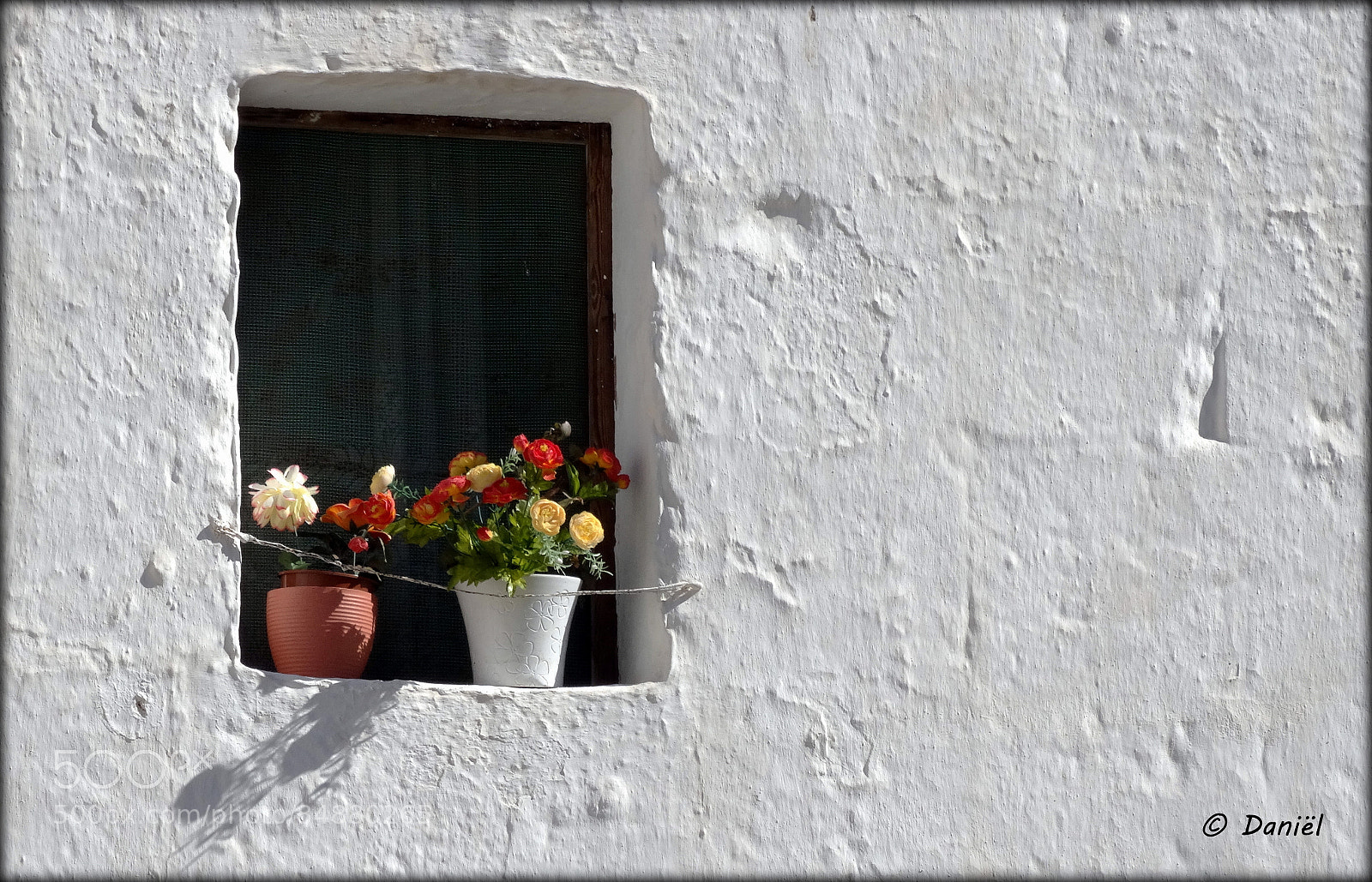 Sony Cyber-shot DSC-HX300 sample photo. Simply beautiful ... .. . photography