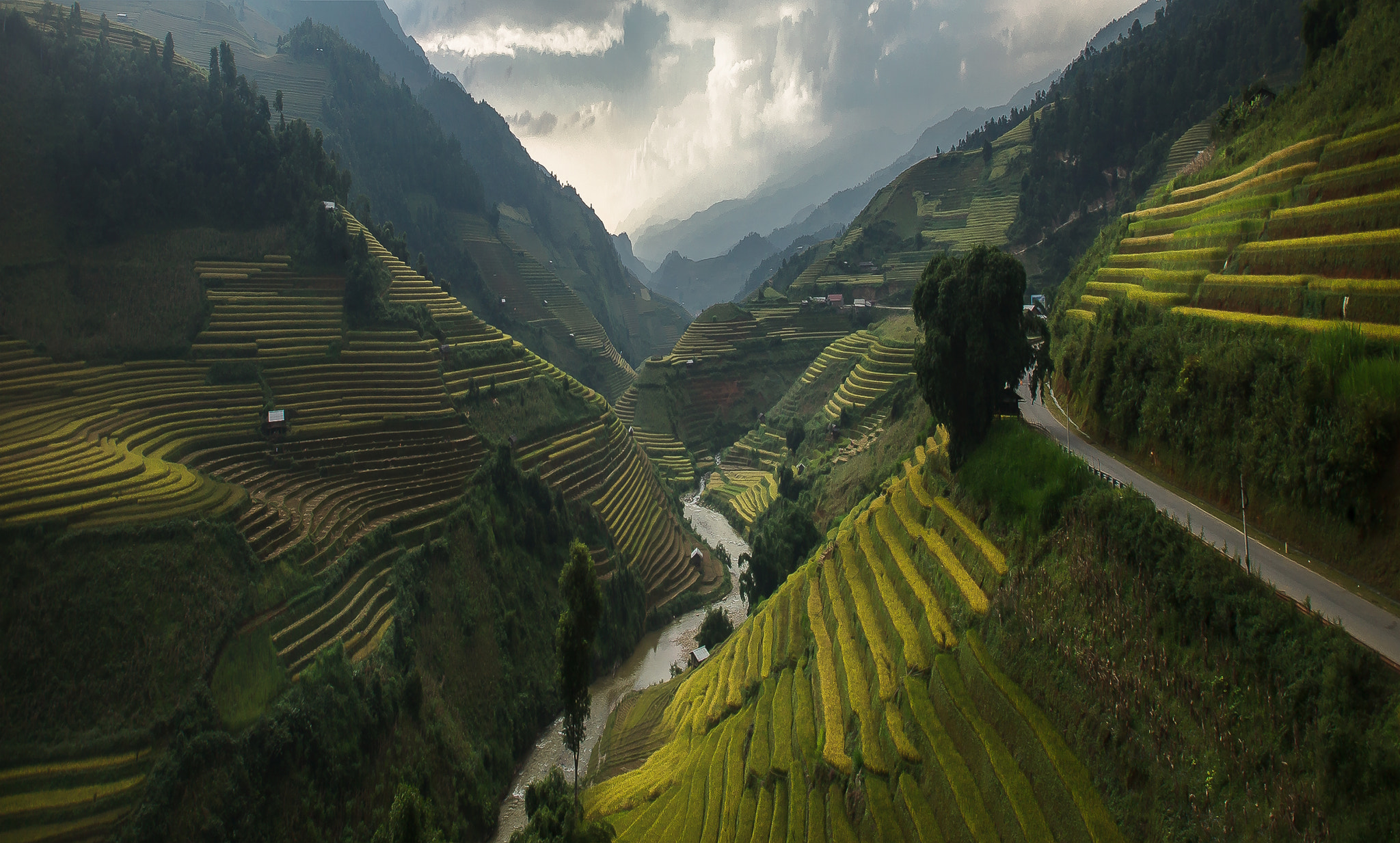 Northwest Discovery Travel: Mu Cang Chai travel guide 