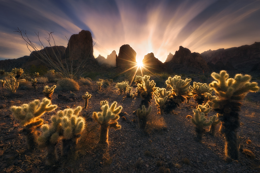 Jet Airway de Miles Morgan sur 500px.com