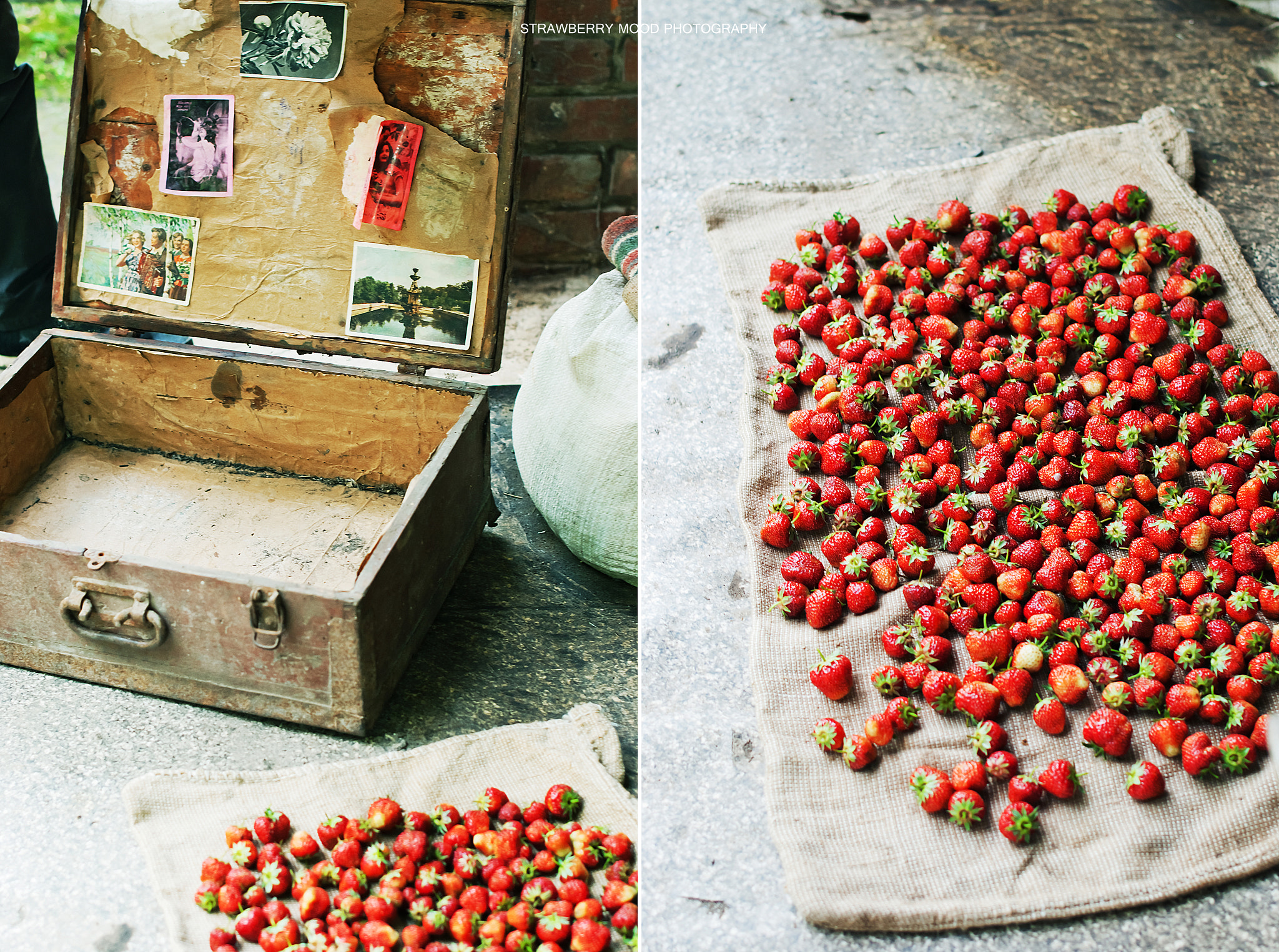 v2?sig=7fa836fd3e5f3ecb1dc5e7d4726b98dcc