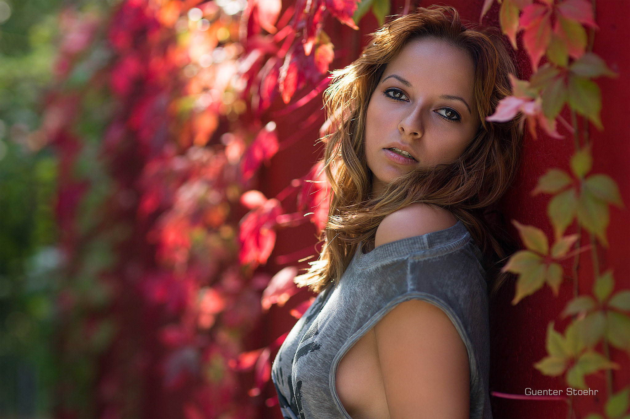 Autumn Wine Leafs By Guenter Stoehr 500px