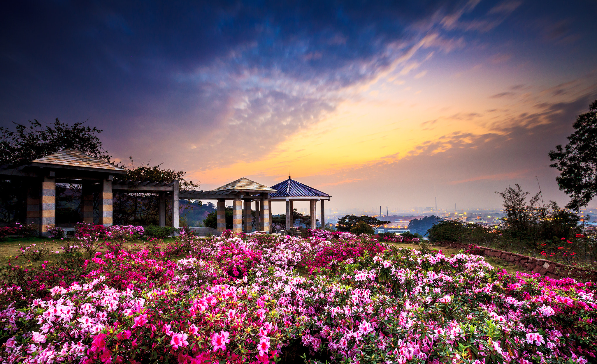 南沙区大岗镇十八罗汉山石磨山杜鹃花日落