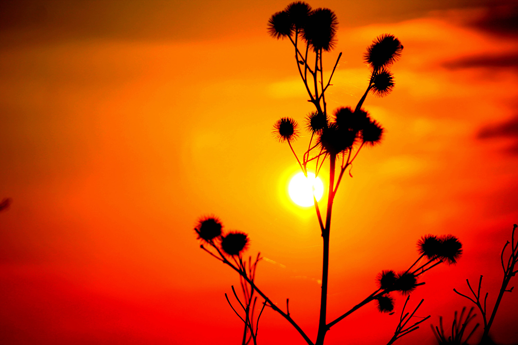 v2?sig=4b0fc9dae7c8d0a3d9a0ced9a63e3d2f6942e6492372658be4dccf09b863d066