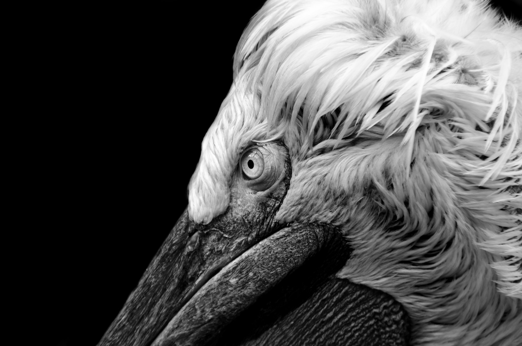 v2?sig=3a0bd8b02b773707e50e687966da322817adf465a7e7775056a0ac533b9fcb0b