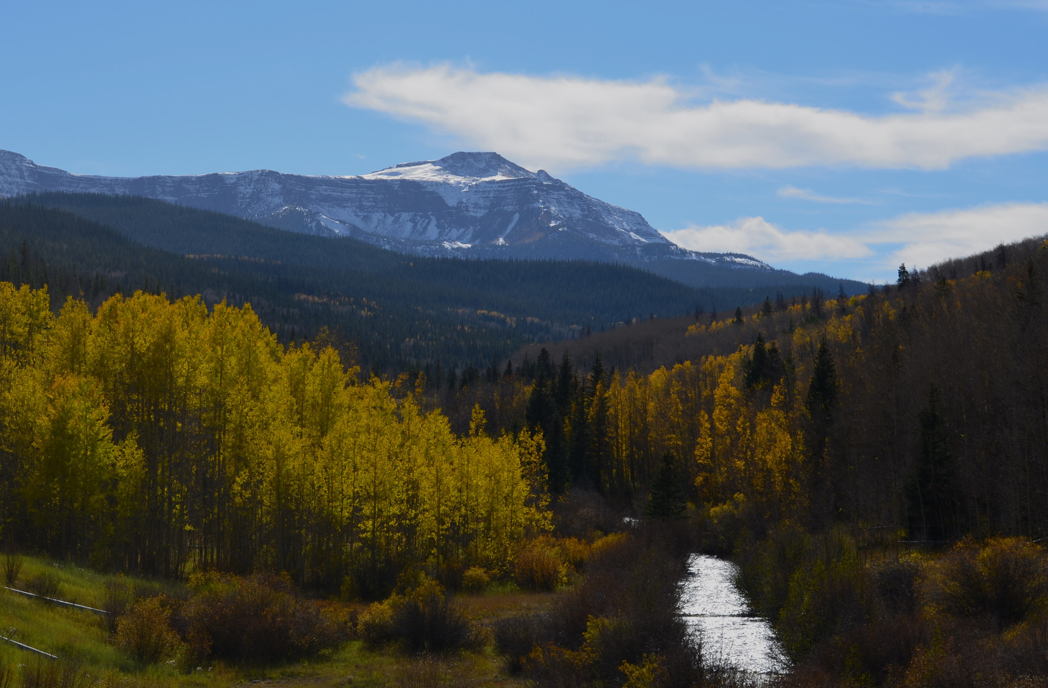 Routt National Forest by Kimberly Hicks / 500px