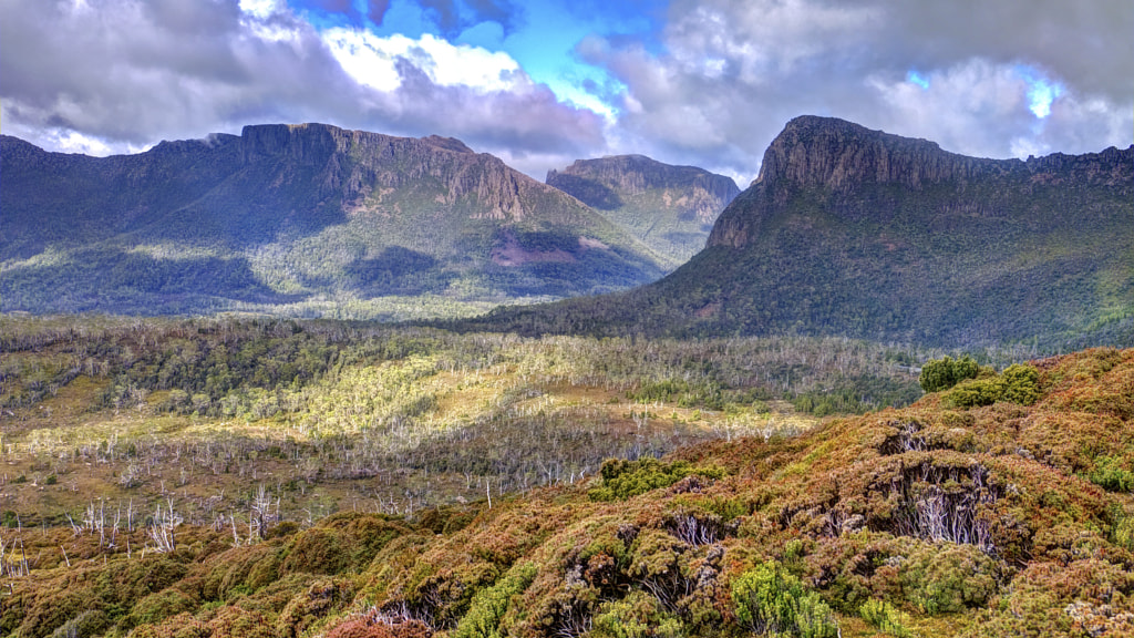 Photograph Tasmanian wilderness by Chris Rolfe on 500px