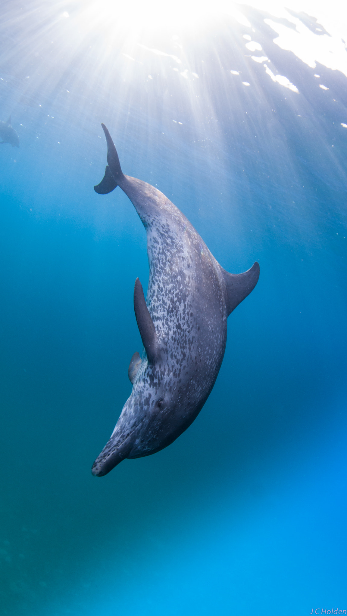 v2?sig=ecb31c394dc6b0993e654f418c6832b1c27abf3e2ed7a44dd30259119065c350