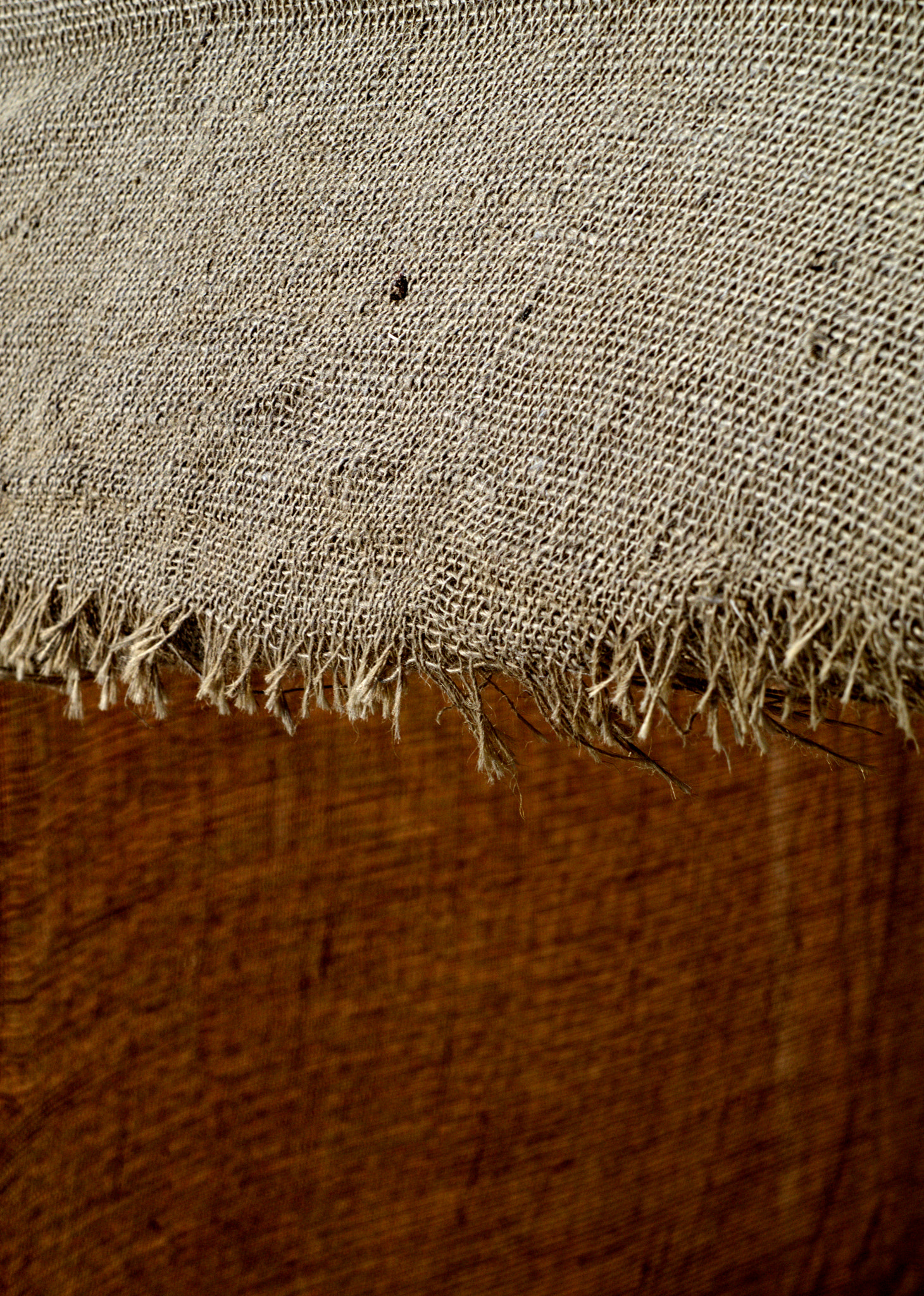 Torn & Frayed