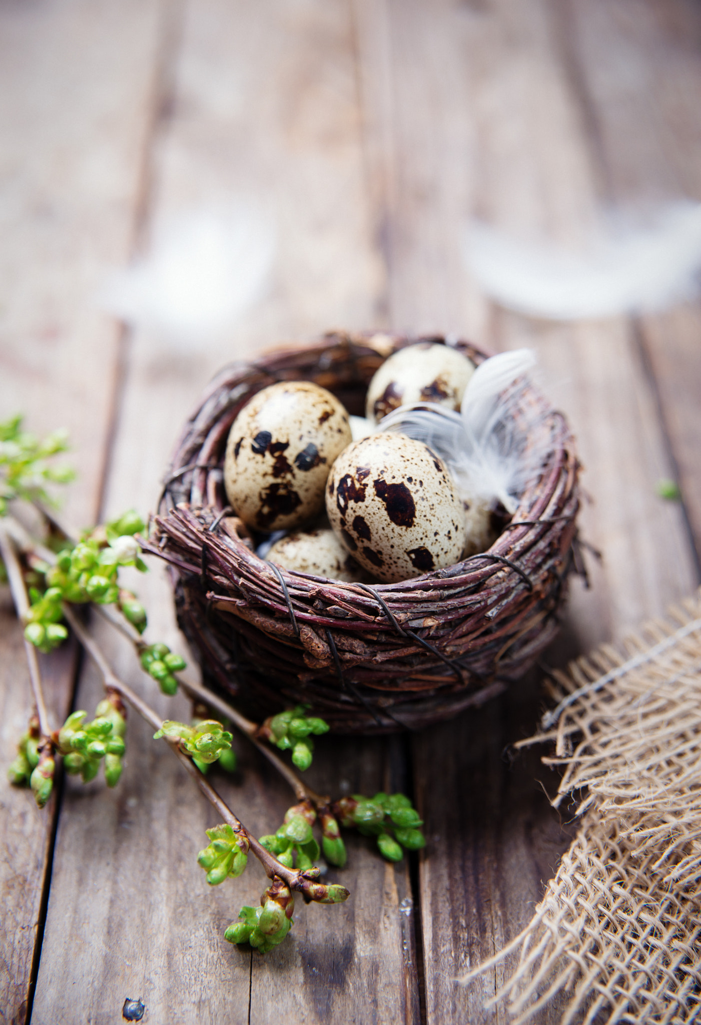 Easter eggs