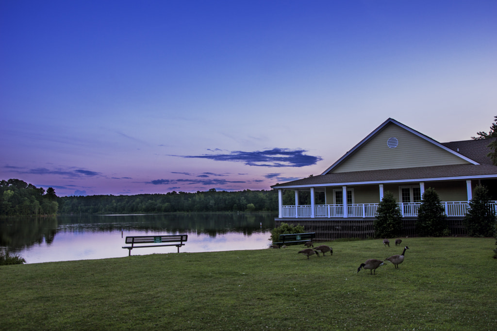 Bass Lake Holly Springs, NC by Nate Gonzalez / 500px