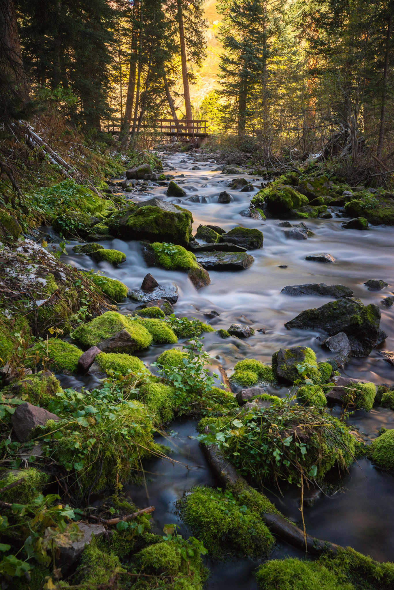 Babbling brook near Maroon Bells