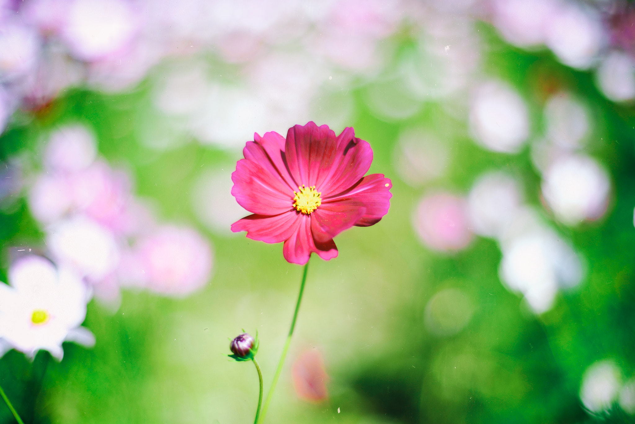 v2?sig=aea9ba7b61f8dd561e5f3e0791d890e2a