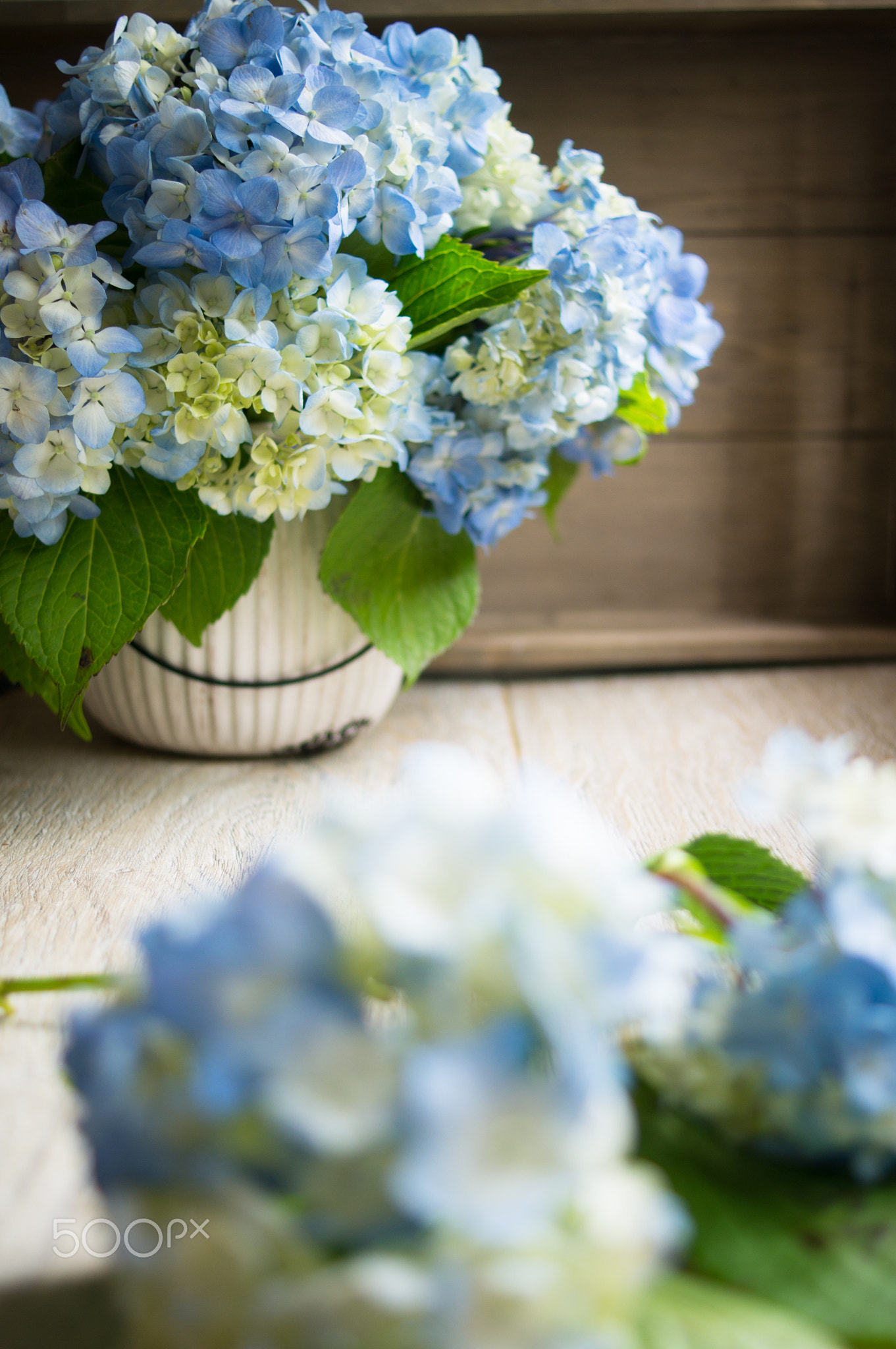 Hydrangea flowers on wooden table