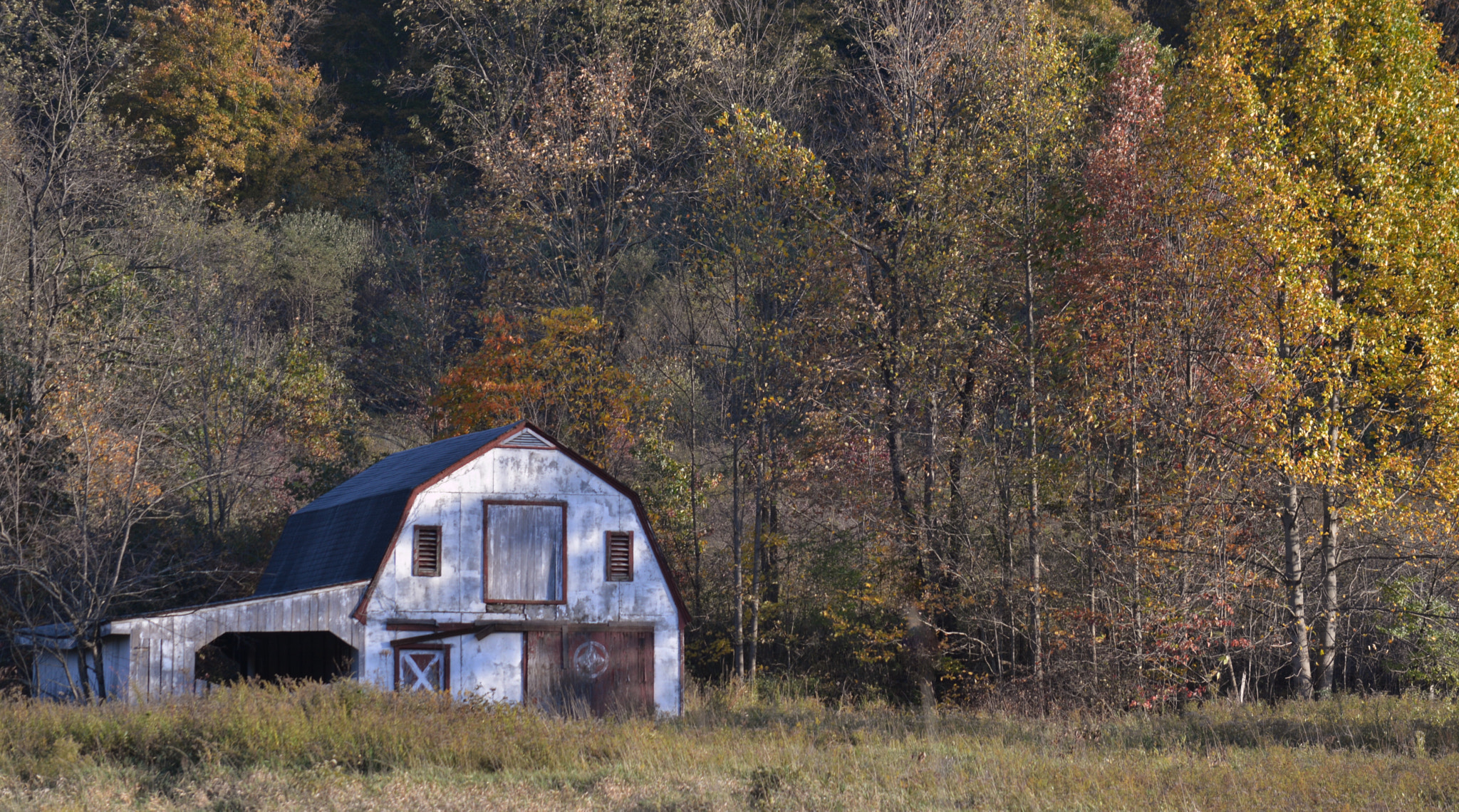 OLD BARN SITTING HERE IN A FIELD OF  AUTUMN