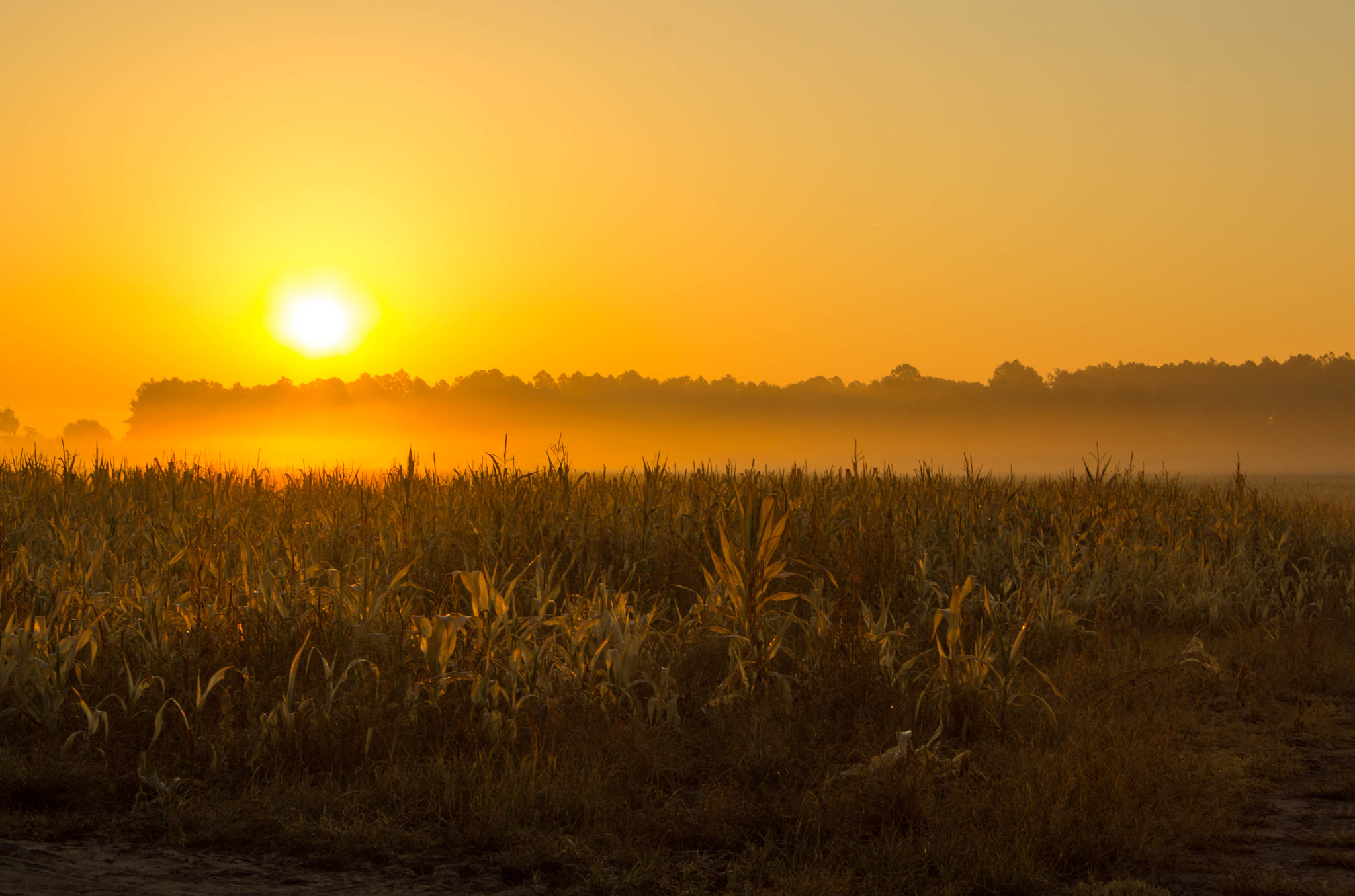 v2?sig=078a71c88be2f51aee2a9f9712e77e137dc0b7373dd02c85de02f1e07b7b20da