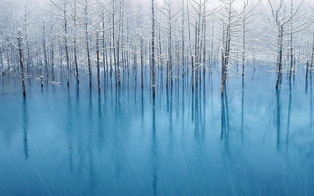 500px.comのKent ShiraishiさんによるBlue Pond - The WallPaper for Apple Inc.