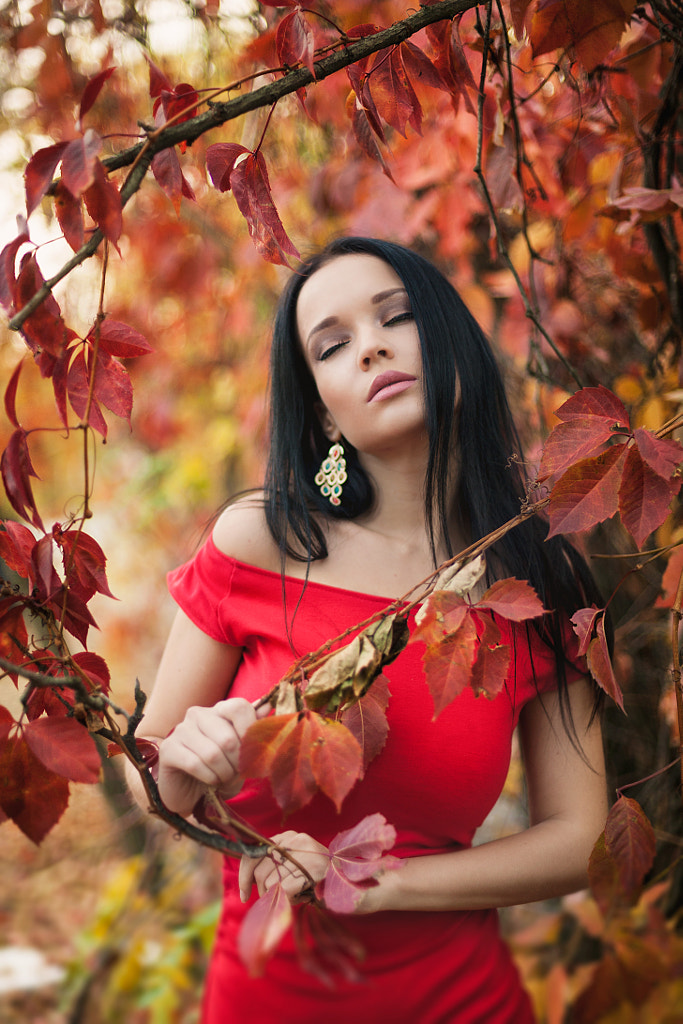 Autumn colors by Denis Petrov / 500px