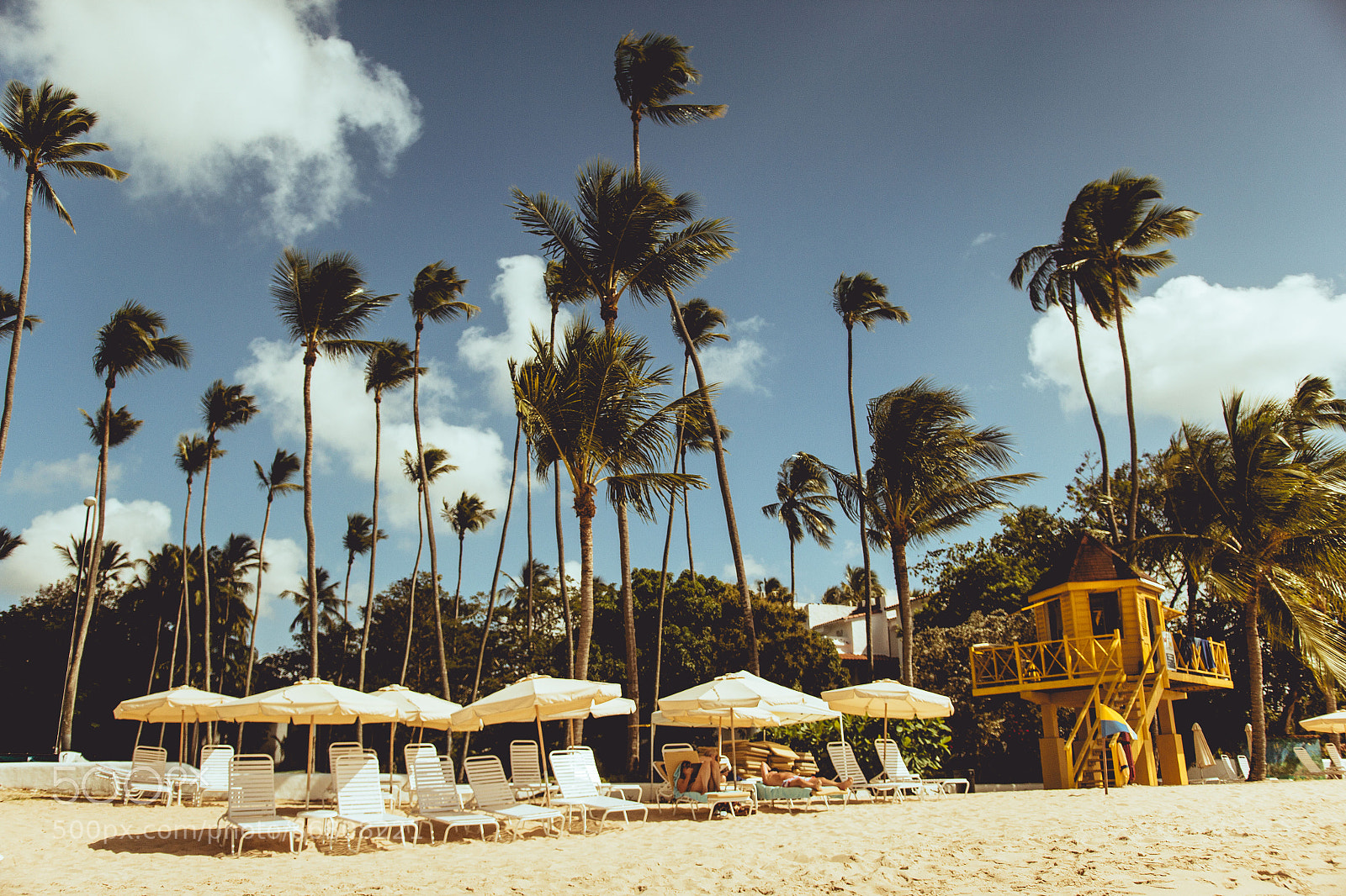 Canon EOS 60D sample photo. Palm beach photography