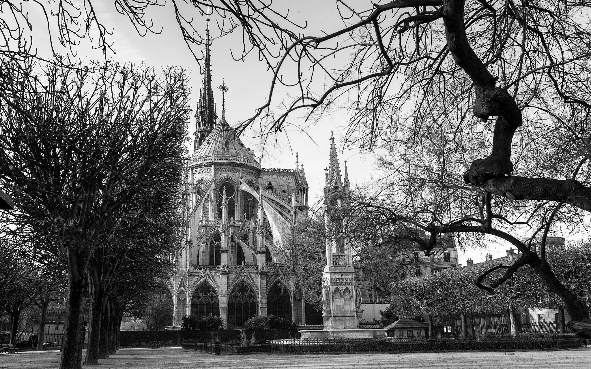 冬日巴黎 | Paris Winter Time #2