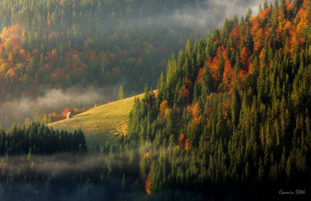 Autumn dream by Cosmin Stan on 500px.com