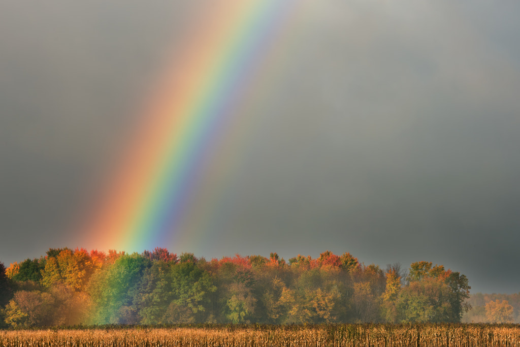 Rainbow Over Corn Field and Trees de Dean Pennala en 500px.com