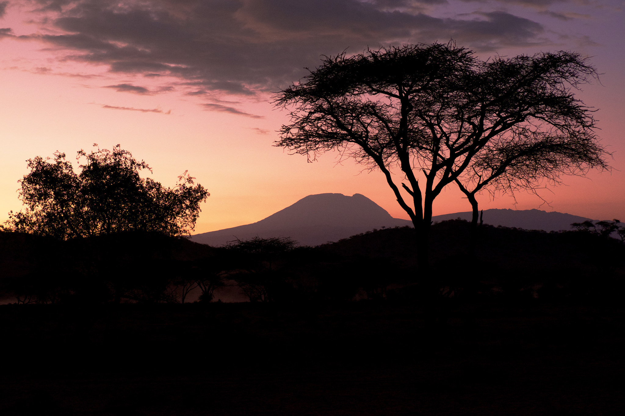 Kilimanjaro sunrise