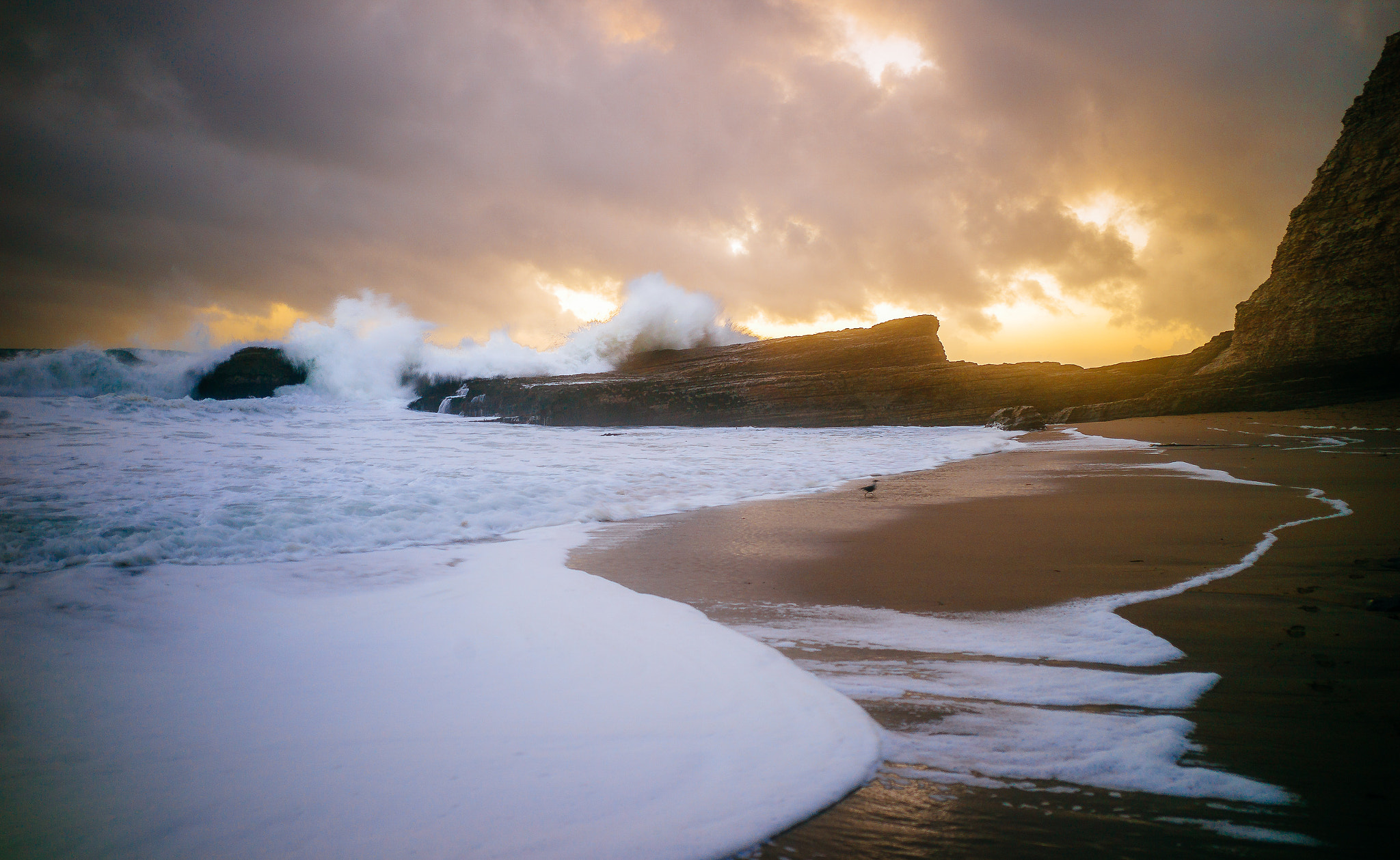 Leica M9 + Leica Summicron-M 28mm F2 ASPH sample photo. Fury photography