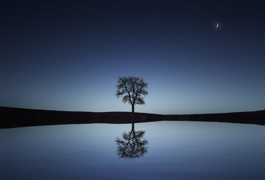 Reflection Tree by Bess Hamiti on 500px.com