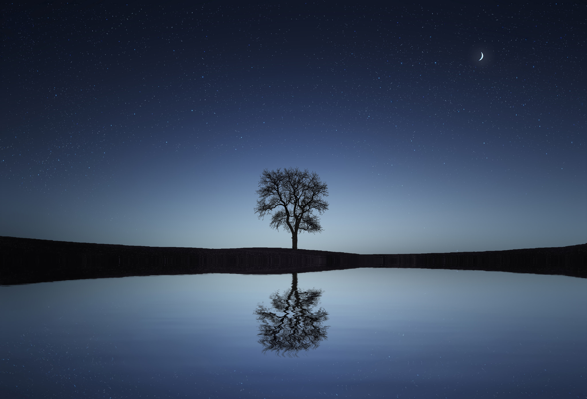 Reflection Tree by Bess Hamiti on 500px.com