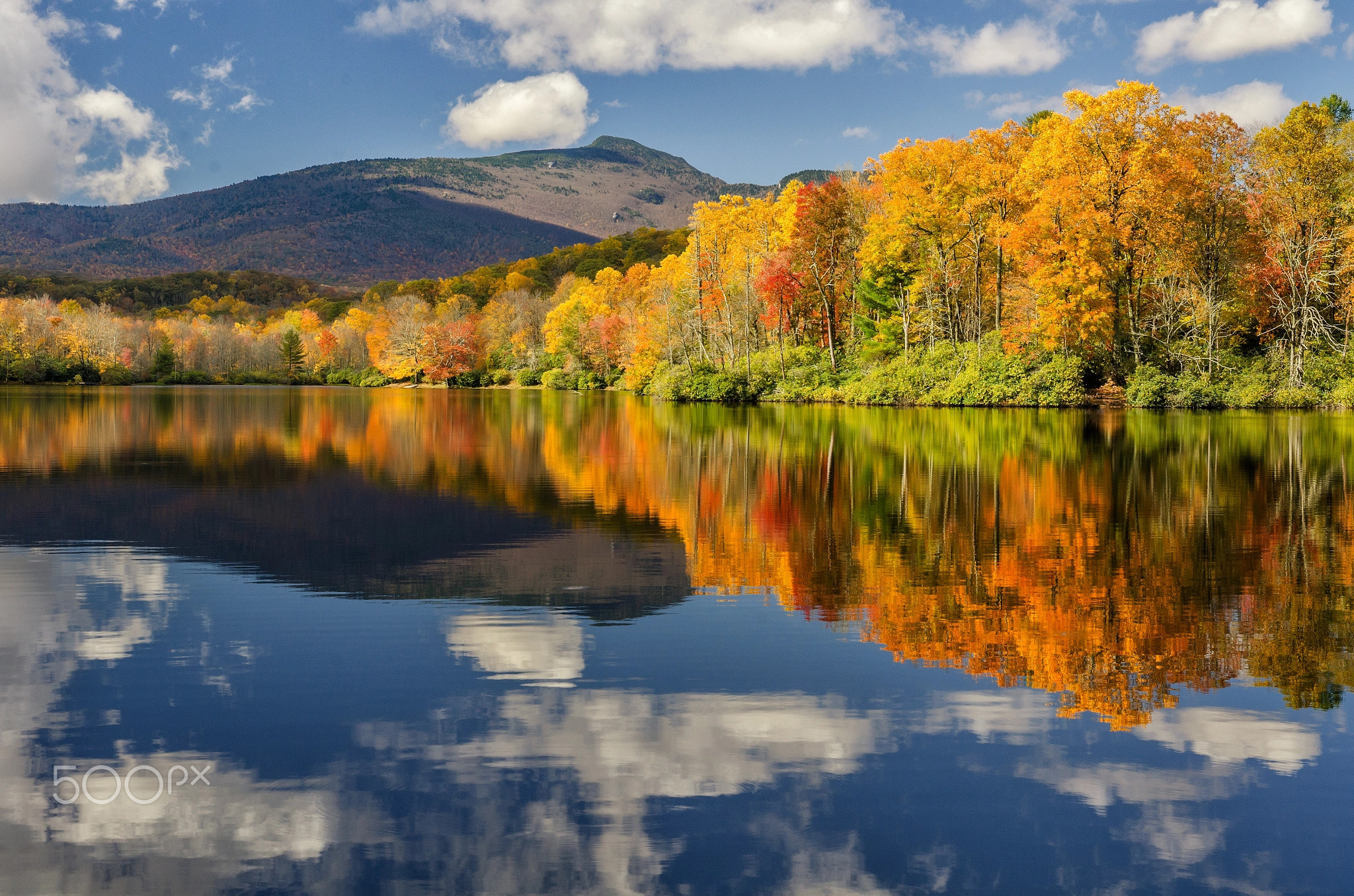 Autumn Reflects