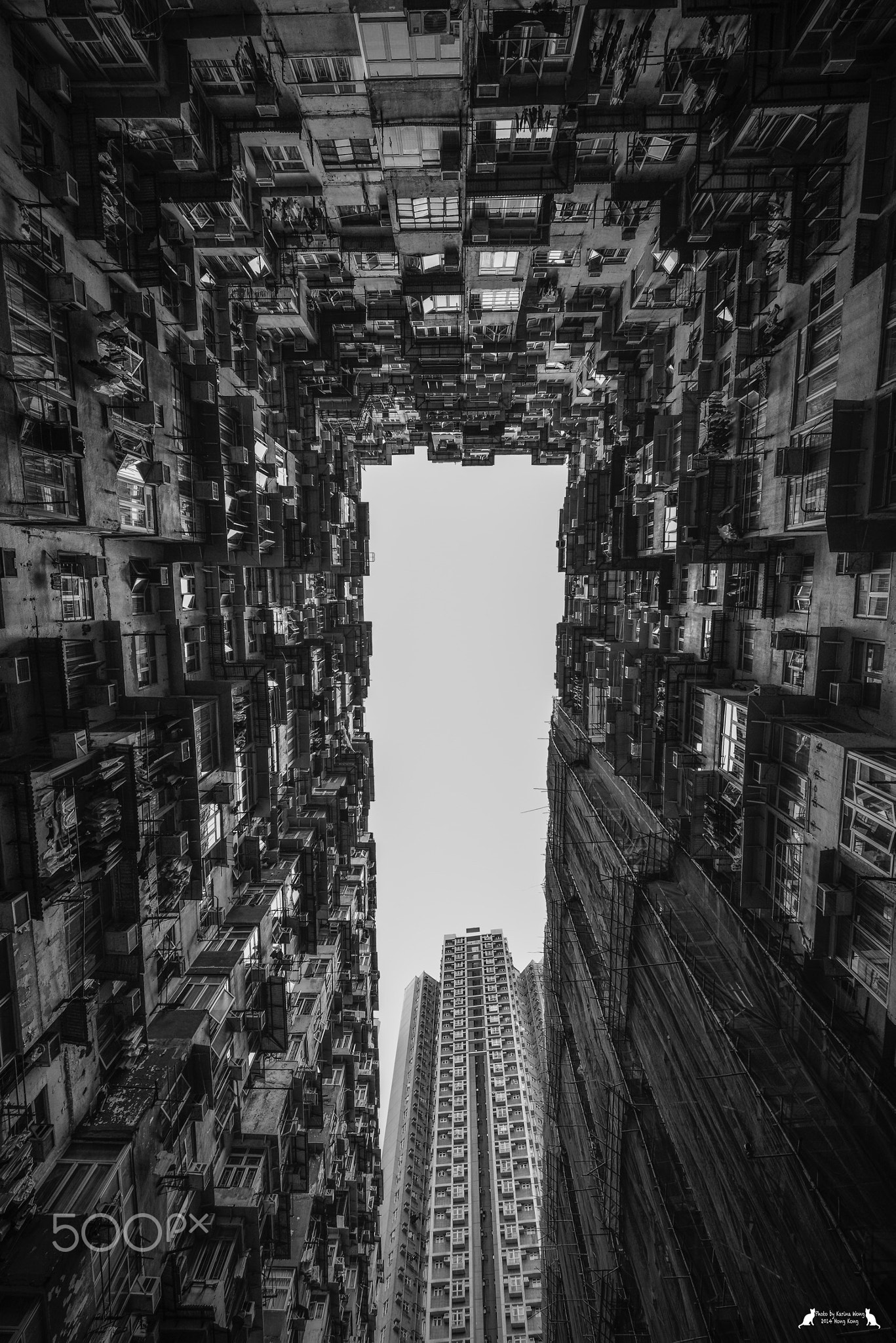 Look up in the sky