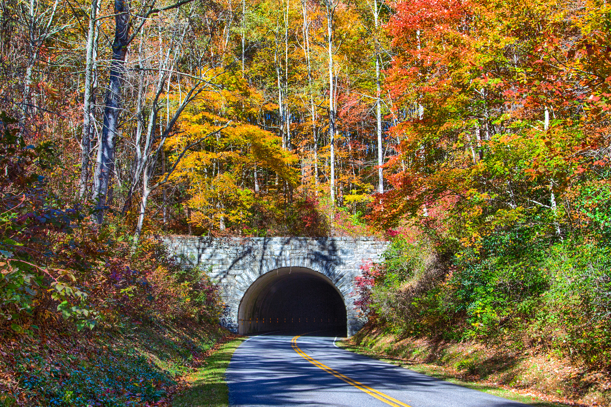 Fall Foliage @ Blue Ridge Parkway