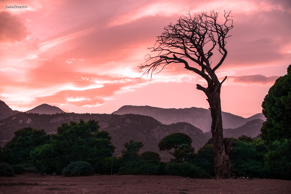 Old beach by Yana Zphoto on 500px.com