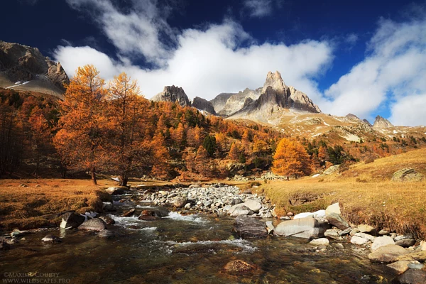 Maxime Courty (maximecourty) Profile / 500px