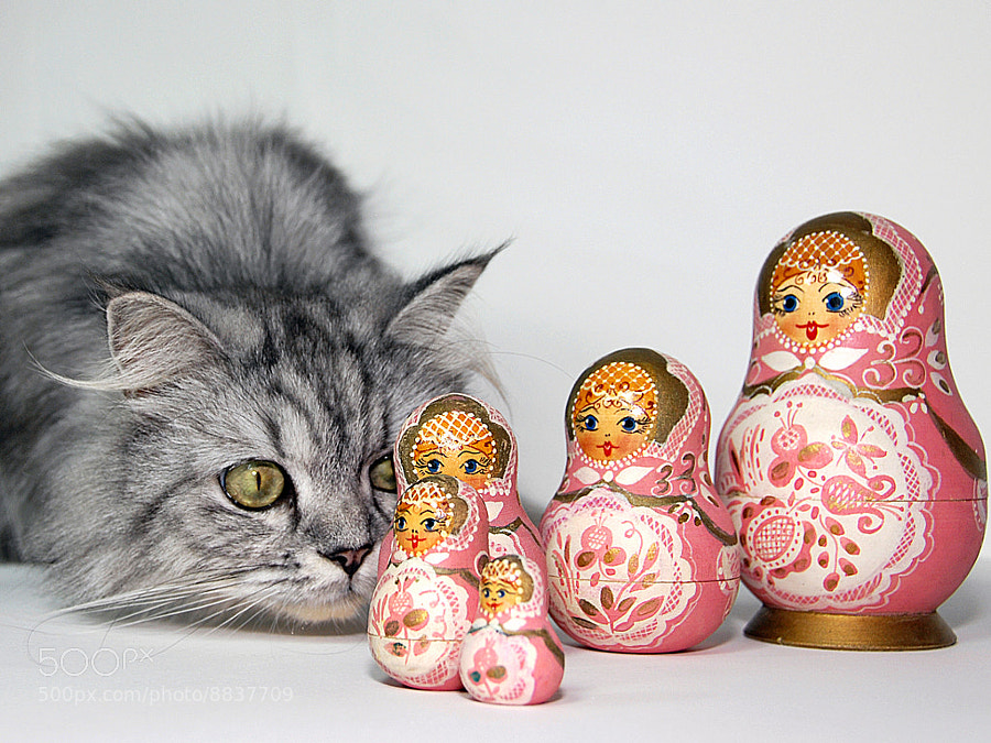 Milo and Matryoshka Dolls by Graham Taylor